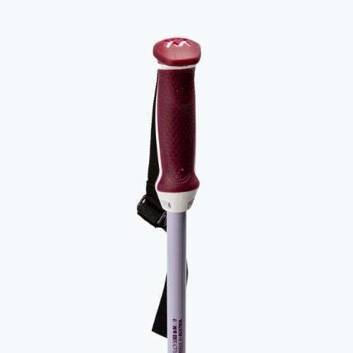 Dámské lyžařské hole Völkl Phantastick W stříbrné 141017