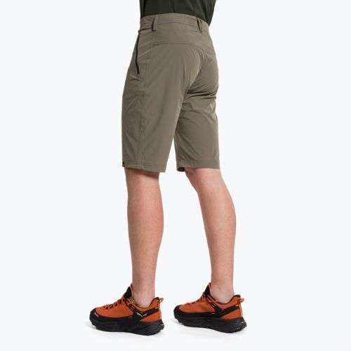 Salewa pánské turistické šortky Talveno DST hnědé 00-0000027064