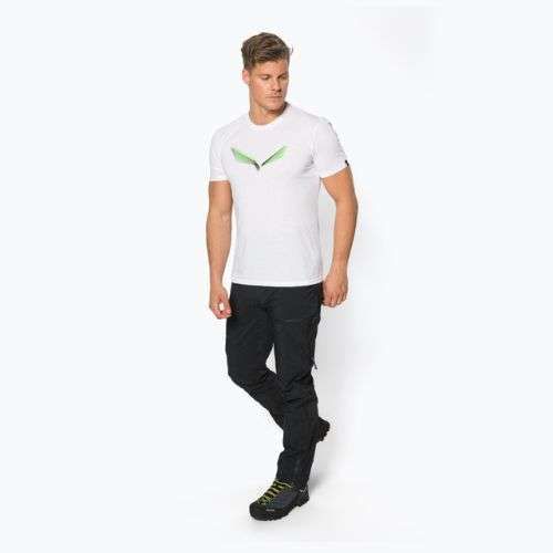 Pánské trekové tričko Salewa Lines Graphic Dry white 00-0000028065