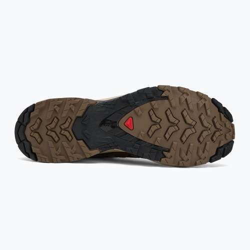 Pánské běžecké boty Salomon XA Pro 3D V9 falcon/desert tan/black