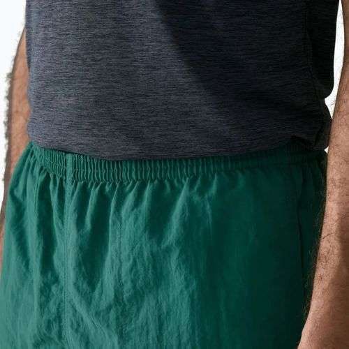Pánské šortky Patagonia Baggies 5" 95 oval logo/gem green