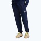 Pánské trekové kalhoty The North Face Simple Dome Light Regular Tapered Jogger summit navy