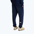 Pánské trekové kalhoty The North Face Simple Dome Light Regular Tapered Jogger summit navy 3