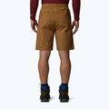 Pánské šortky The North Face Limestone utility brown 3