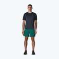 Pánské šortky Patagonia Baggies 5" 95 oval logo/gem green 2