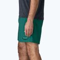 Pánské šortky Patagonia Baggies 5" 95 oval logo/gem green 5