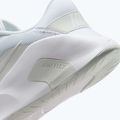 Pánské tréninkové boty Nike Flex Train white/photon dust/white 9