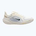 Pánské běžecké boty Nike Pegasus 41 GTX sail/football grey/sundial/ashen slate 8