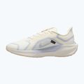 Pánské běžecké boty Nike Pegasus 41 GTX sail/football grey/sundial/ashen slate 9