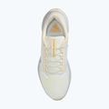 Pánské běžecké boty Nike Pegasus 41 GTX sail/football grey/sundial/ashen slate 10