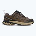 Pánské běžecké boty Salomon XA Pro 3D V9 falcon/desert tan/black 2