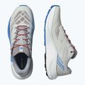Pánské běžecké boty Salomon Pulsar lunar rock/white/french blue 8