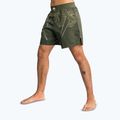 Pánské tréninkové šortky Venum Serpenti Fight khaki/bronze/ivory 4