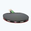 Raketa na stolní tenis Butterfly Tiago Apolonia TAX3 8