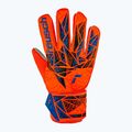 Reusch Attrakt Starter Grip brankářské rukavice hyper orng/elec modré 2