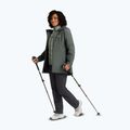 Dámské turistické boty Jack Wolfskin Wild Hike Texapore Mid oyster 9