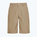 Pánské trekové šortky Jack Wolfskin Duneland hazel wood 8