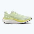 Pánské běžecké boty PUMA Electrify Nitro 4 green 9
