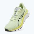 Pánské běžecké boty PUMA Electrify Nitro 4 green 10