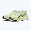Pánské běžecké boty PUMA Electrify Nitro 4 green 11