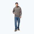 Pánská mikina Pitbull Sampson Hooded Sweatshirt taupe 2