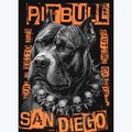 Pánská mikina Pitbull Blacky Hooded black 7