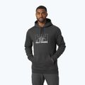 Pánská trekingová mikina Helly Hansen Nord Graphic Pull Over 981 šedá 62975