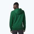 Pánská trekingová mikina Helly Hansen F2F Organic Cotton Hoodie malachite 2