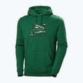 Pánská trekingová mikina Helly Hansen F2F Organic Cotton Hoodie malachite 4