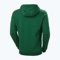 Pánská trekingová mikina Helly Hansen F2F Organic Cotton Hoodie malachite 5