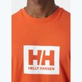 Pánské tričko Helly Hansen HH Box flame 3
