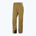 Pánské lyžařské kalhoty Helly Hansen Legendary Insulated lynx  5