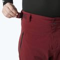 Pánské lyžařské kalhoty Helly Hansen Alpha Lifaloft mars red 3