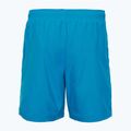 Pánské plavecké šortky Oakley Clear Lake 18" Volley blue 2
