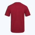 Pánské tričko Aeronautica Militare Essential burgundy 2