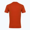 Pánské tričko EA7 Emporio Armani Visibility Cotton Crew rooibos tea 2
