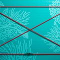 SUP prkno ABSTRACT Coral 10'6'' topaz 3