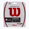 Tenisové struny Wilson Sensation 16 bílá WRZ941000+