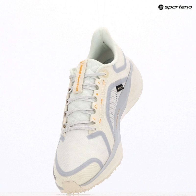 Pánské běžecké boty Nike Pegasus 41 GTX sail/football grey/sundial/ashen slate 13