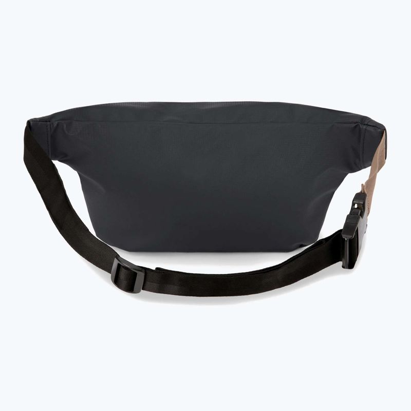 Ledvinka Dakine Renovation Hip black 2
