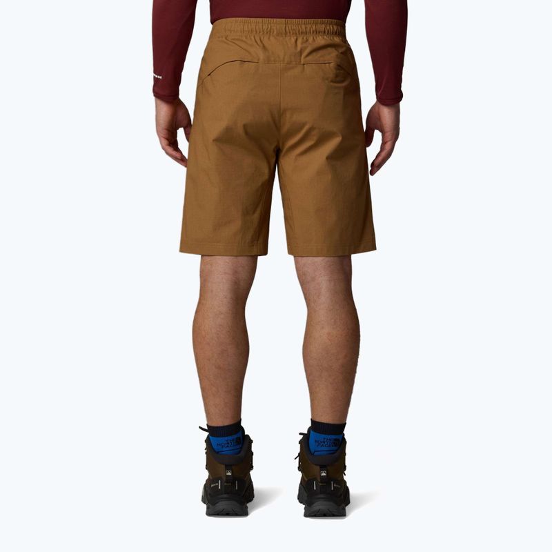 Pánské šortky The North Face Limestone utility brown 3