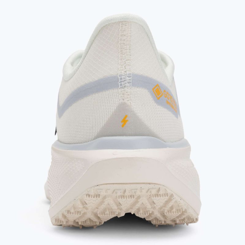 Pánské běžecké boty Nike Pegasus 41 GTX sail/football grey/sundial/ashen slate 6