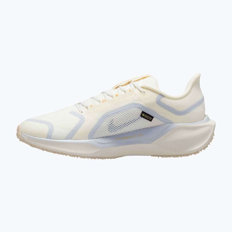 Pánské běžecké boty Nike Pegasus 41 GTX sail/football grey/sundial/ashen slate 9