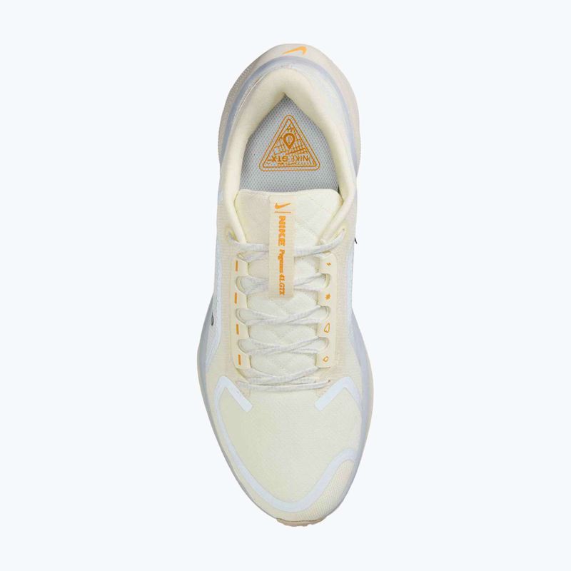 Pánské běžecké boty Nike Pegasus 41 GTX sail/football grey/sundial/ashen slate 10