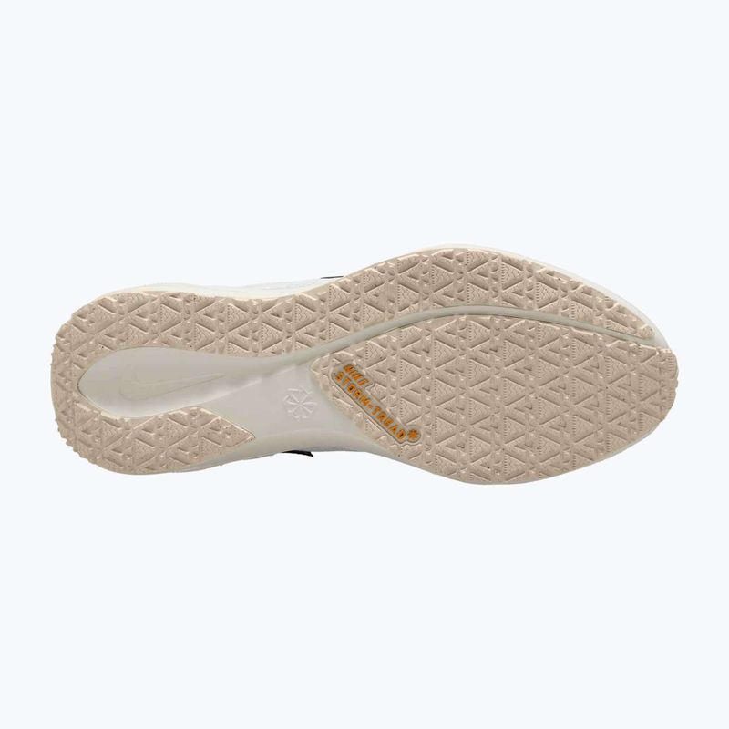 Pánské běžecké boty Nike Pegasus 41 GTX sail/football grey/sundial/ashen slate 11
