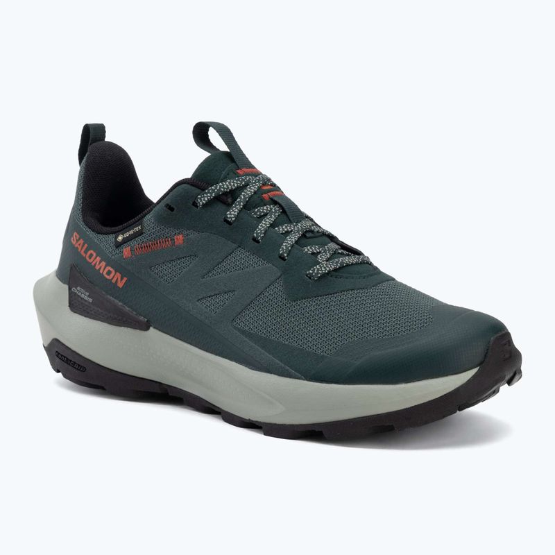 Pánské turistické boty Salomon Elixir Activ GTX scarab/green gable