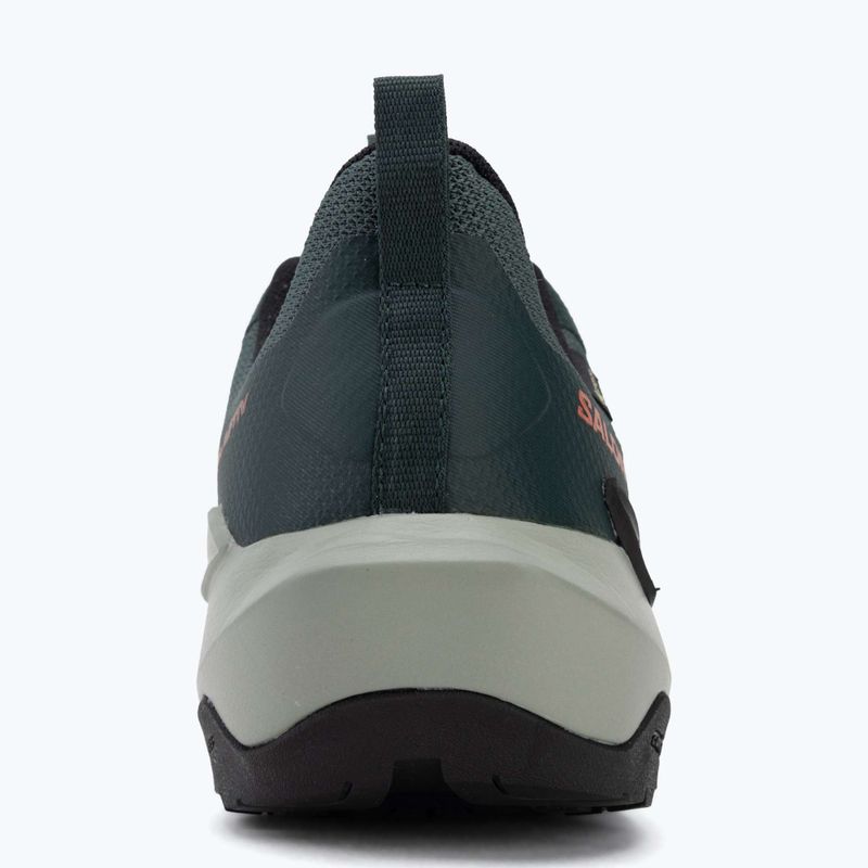 Pánské turistické boty Salomon Elixir Activ GTX scarab/green gable 6
