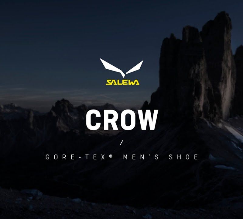 Salewa pánské vysokohorské boty Crow GTX brown 00-0000061328 12