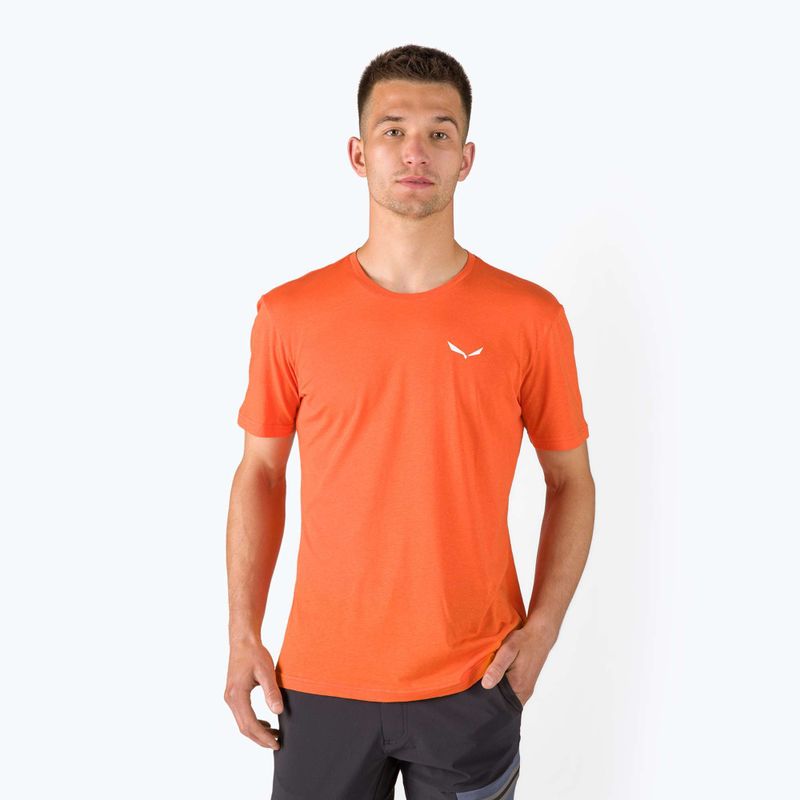 Pánské trekingové tričko Salewa Alpine Hemp Logo orange 00-0000028132