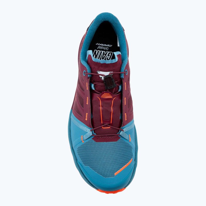 Pánské běžecké boty DYNAFIT Alpine Pro 2 storm blue/burgundy 5